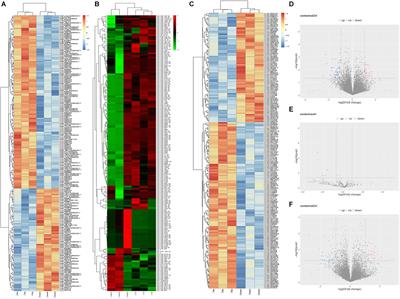 Comprehensive Analysis of Differentially Expressed lncRNAs miRNAs and mRNA and Their ceRNA Network of Patients With Rare-Earth Pneumoconiosis